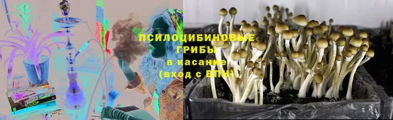 Псилоцибиновые грибы Magic Shrooms Губаха